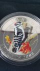 2008 25cent Downy Woodpecker Coins: Canada photo 8