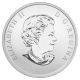2013 Ducks Of Canada $0.  25 Colored Coin – Mallard Coins: Canada photo 2