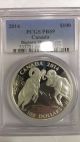 Rare Pop 3 2014 Canada $100 Bighorn Sheep 1 Oz Silver Pcgs Pr69 Coins: Canada photo 2