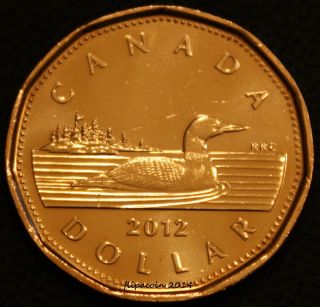 2012 Canadian Loonie - One Dollar Coin B/u Old Style 6146 photo