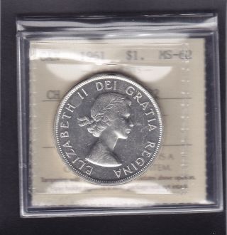 1961 Silver Dollar In Ms - 62,  Iccs Certified Rev - 002 Arrow Head photo