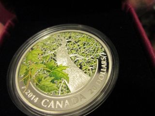 2014 Fine Silver Coin - Canadian Maple Canopy (spring) - Mintage: 7500. photo