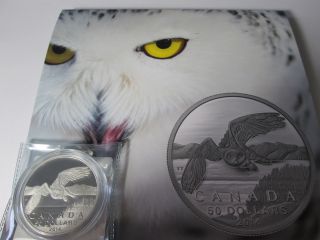 2014 $50 For $50 Fine Silver Coin Iconic Polar Bear photo