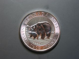 2015 Canada Polar Bear And Cub $8 1.  5 Oz.  9999 Silver Coin photo