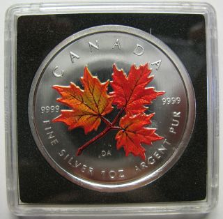 2001 $5 1oz.  9999 Silver Maple Leaf Sml Autumn Colour Canada Coin Only photo