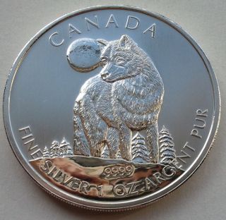 2011 1 Oz Silver Timber Wolf Canadian Wildlife Series Canada $5 Coin.  T210 photo