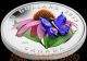 2013 Canada Venetian Glass Butterfly Purple Coneflower $20 Silver Coin Murano Coins: Canada photo 3