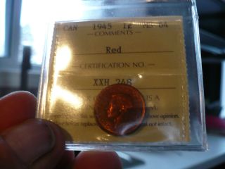 1945 Canada One Cent Iccs Ms - 64 Red - Trends At 50$ photo