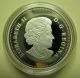 2014 Proof $20 The Bison 3 - The Fight Canada.  9999 Silver Coins: Canada photo 4