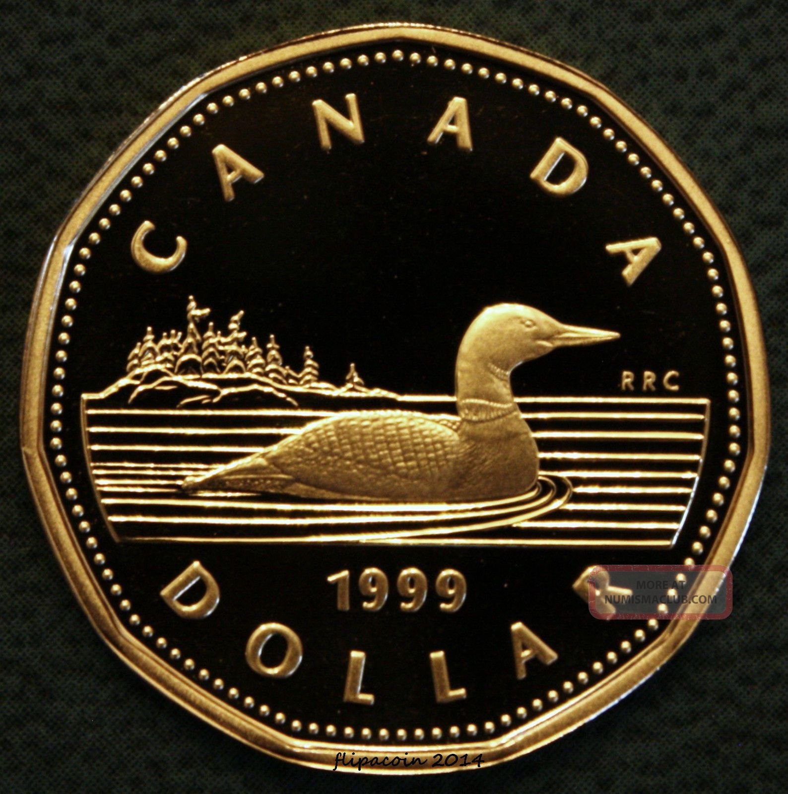 1999 Canada Loonie One Dollar Coin Proof 1999-canada-loonie-one-dollar-coin-proof