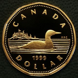 1999 Canada Loonie - One Dollar Coin Proof photo