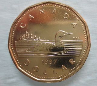 1997 Canada Loonie Proof - Like One Dollar Coin photo