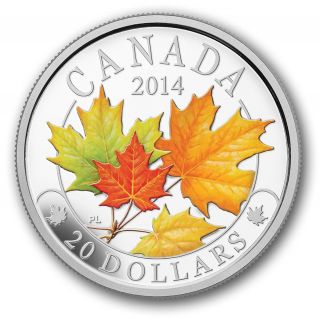 2014 $20 Pure Silver Coin - Majestic Maple Leaves With Colour photo