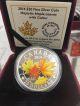 2014 $20 Pure Silver Coin - Majestic Maple Leaves With Colour Coins: Canada photo 1