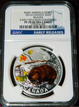 2014 Canada $20 Baby Animals Beaver Colorized Proof Silver Coin - Ngc Pf70 Uc Er photo