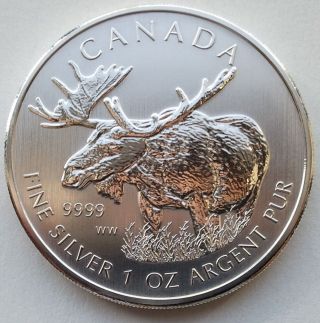 2012 1 Oz Silver Moose Canadian Wildlife Series Canada $5 Coin.  M112 photo