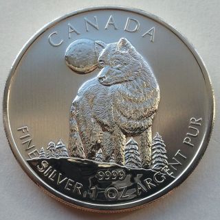2011 1 Oz Silver Timber Wolf Canadian Wildlife Series Canada $5 Coin.  T209 photo