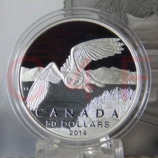 2014 - Canada - Snowy Owl - Fine Silver Coin - 2nd In $50 For $50 Series photo