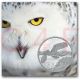 2014 - Canada - Snowy Owl - Fine Silver Coin - 2nd In $50 For $50 Series Coins: Canada photo 3