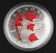 Canada 2004 Colored 1 Oz 9999 Silver Maple Leaf Coin,  Box & Gem Coins: Canada photo 1