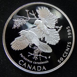 1995 Canada Silver Half Dollar Rare Gray Jay photo