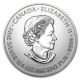 2013 3/4 Oz Silver Canadian $2 Devil ' S Brigade Coins: Canada photo 1