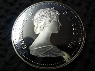 1988 Canadian Silver Dollar 