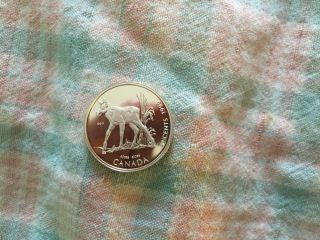 Canada 1996 Silver Proof 50 Cent Coin,  Moose Calf photo