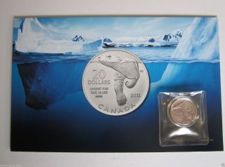 Canada 2012 - $20 For $20 Polar Bear Coin With Folder,  99.  99 Silver photo