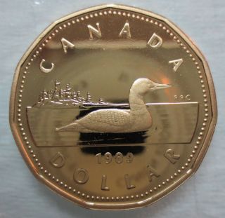 1989 Canada Loonie Proof One Dollar Coin photo