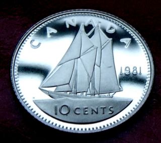 1981 Canada 10 Cents Rare Mintage Of 199,  000 Proof,  Heavy Frosted Schooner photo