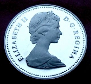 Rare Low Mintage Frosted 1981 Canada Fifty Cents,  Elizabeth,  Mintage Of 199,  000 photo