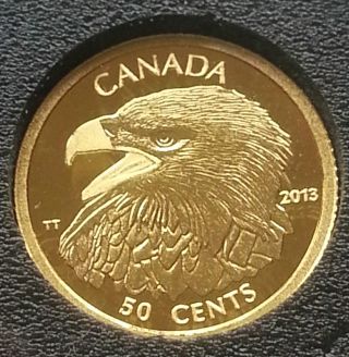 2013 50 Cent Canada Bald Eagle 1/25oz Pure Gold Coin & photo