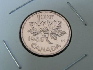 1980 Specimen Unc Canadian Canada Maple Leaf Penny One 1 Cent photo