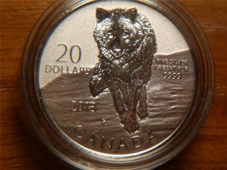 2013 Canada $20 Twenty Dollars.  9999 Silver Coin,  Wolf photo