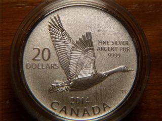2014 Canada $20 Twenty Dollars, .  9999 Silver Coin,  Goose photo
