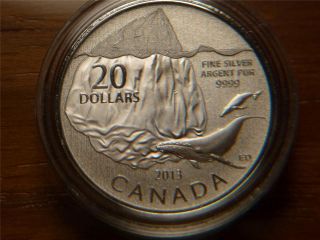 2013 Canada $20 Twenty Dollars, .  9999 Silver Coin,  Humpback Whale photo