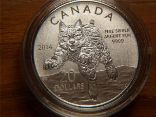 2014 Canada $20 Twenty Dollars, .  9999 Silver Coin,  Lynx photo