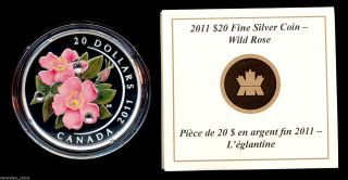 Canada 2011 Rcm $20 Fine 9999 Silver Proof Wild Rose Rcm Collector Coin photo