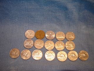 17 Canadian Five Cents All Different Years photo