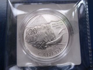 Canadian $20 Iceberg And Whale Silver Coin photo