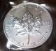 Uncirculated Maple Leaf 9999 Fine Silver,  1 Oz. ,  2005 5 Dollar Proof Coin Coins: Canada photo 2