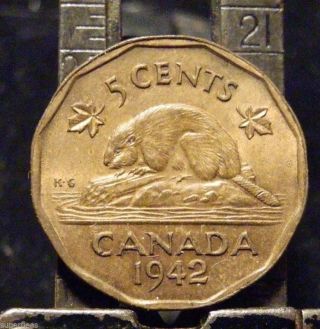 1942 Uncirculated Canadian George Vi 5 Cent Tombac Beaver photo