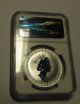 1999 Rabbit Privy Mark Canada 1 Oz $5 Silver Maple Leaf Coin Ngc Sp 67 Coins: Canada photo 1