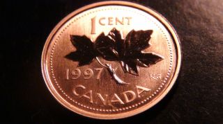 1997 Canada Specimen One Cent Coin – Uncirculated – One Canadian Penny – 1¢ photo