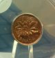 1953 Elizabeth Ii Canadian Penny Coins: Canada photo 2