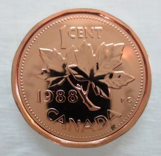 1988 Canada 1 Cent Proof - Like Penny photo