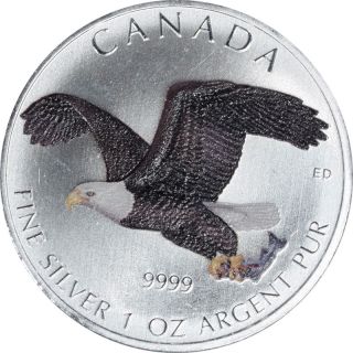 2014 Canada $5.  9999 Silver Wildlife Series,  Birds Of Prey Bald Eagle,  Colorized photo