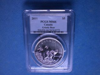 2011 Canada Canadian Grizzly Bear Pcgs Ms 66.  9999 Fine Silver Coin photo