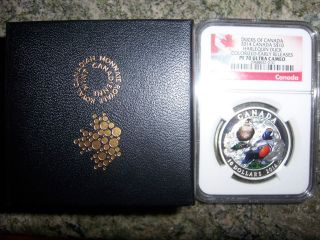 2014 Canada $10 1/2 Oz Proof Silver - Harlequin Duck Ngc Pf70 Uc Er photo